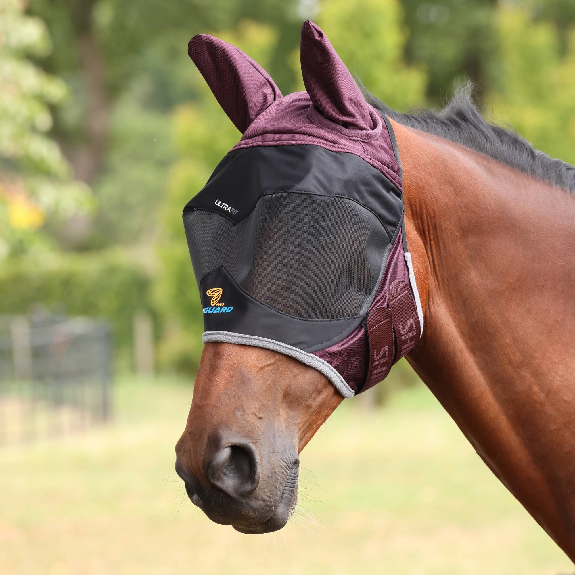 Deluxe Flughuva med öron - Black/Cherry, Shires