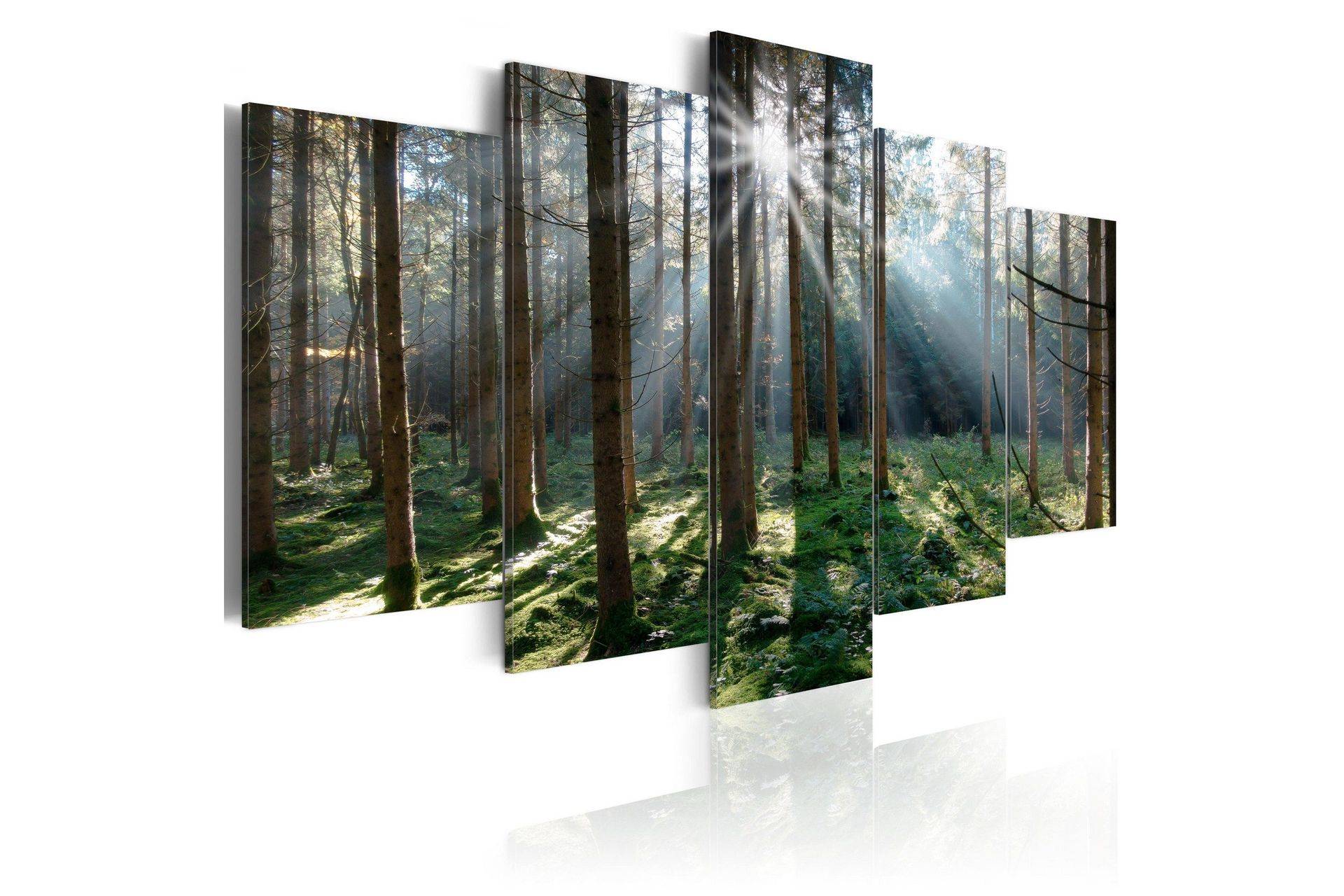 Tavla Fairytale Forest 100x50 - Artgeist sp. z o. Canvastavlor Vit,Grön