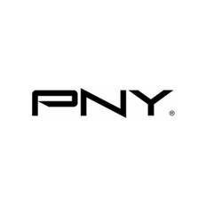 PNY NVIDIA Tesla L2 Module LP 24GB GDDR6 PCIe 4.0 x16 passiv TCSL2PCIE-PB