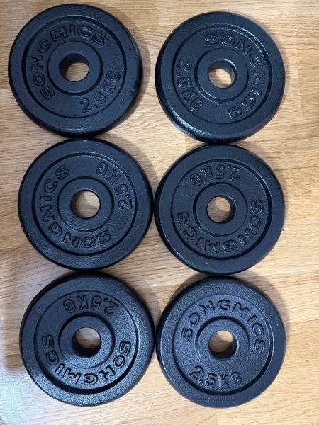 Songmics viktskivor 2.5 kg