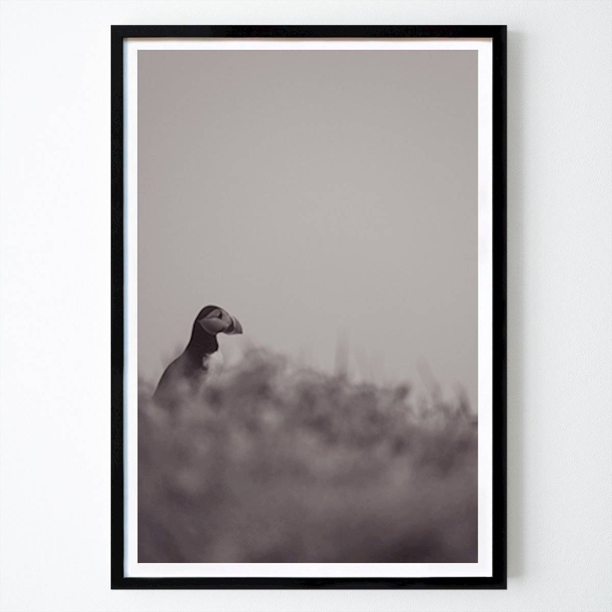 Natur Poster: Lunnefågel 3/3 av Erik Nielsen