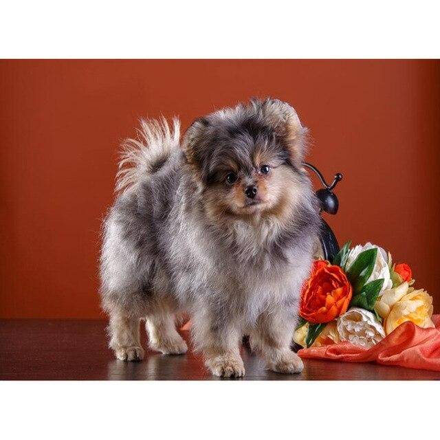 5D Gör-det-själv-diamantmålning Hund Diamantbroderi Pomeranian Hel rund/fyrkantig mosaikvalp Bild av Rhinestones Hantverkspresent rosa
