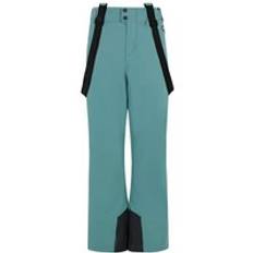 Protest Bork JR Snowpants - Skidbyxa Barn Atlantic Green Child's height 104 cm