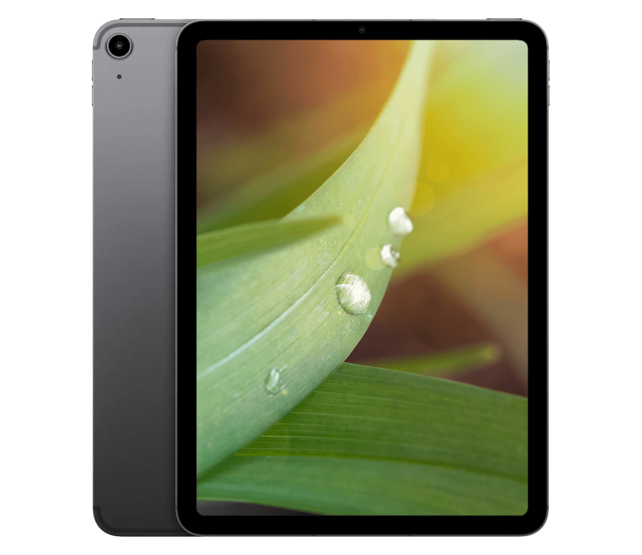 iPad Air M3 (2025) 11" WiFi + 5G