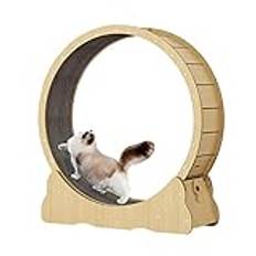 Katthjul katter springer hjul katt träning löpband med matta bana husdjursleksak perfekt för katt viktminskning och lekfullt kul