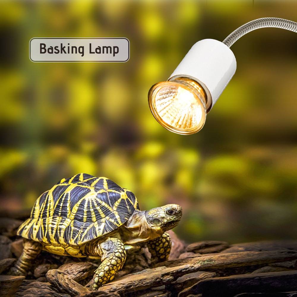 25w terrarium reptiler ödla sköldpadda sola lampa halogen hus värme lampa uva uvb sola lampa värmare belysning för sköldpaddor