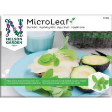 *SIDSTE SALGSDATO SEPTEMBER 2024* Micro Leaf, Hjulkrone, frø
