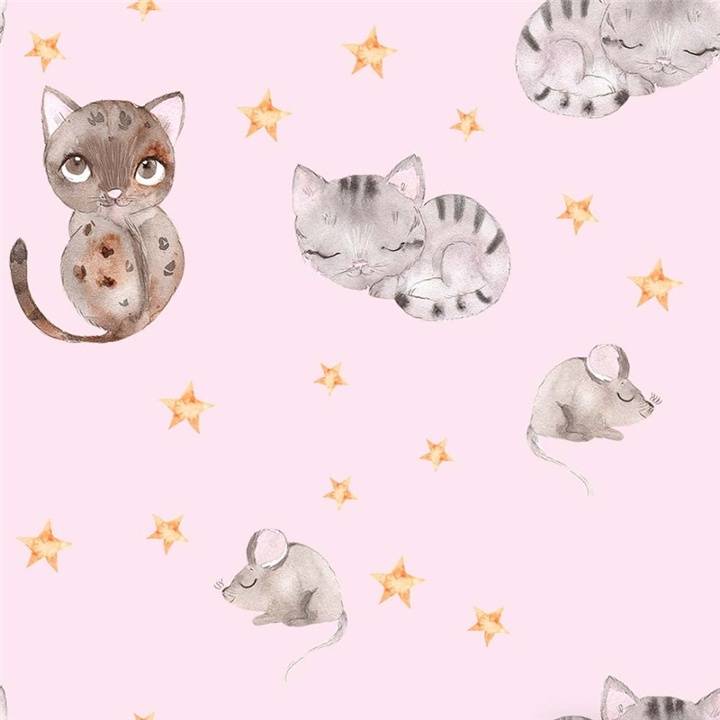 KATT - MUS ROSA