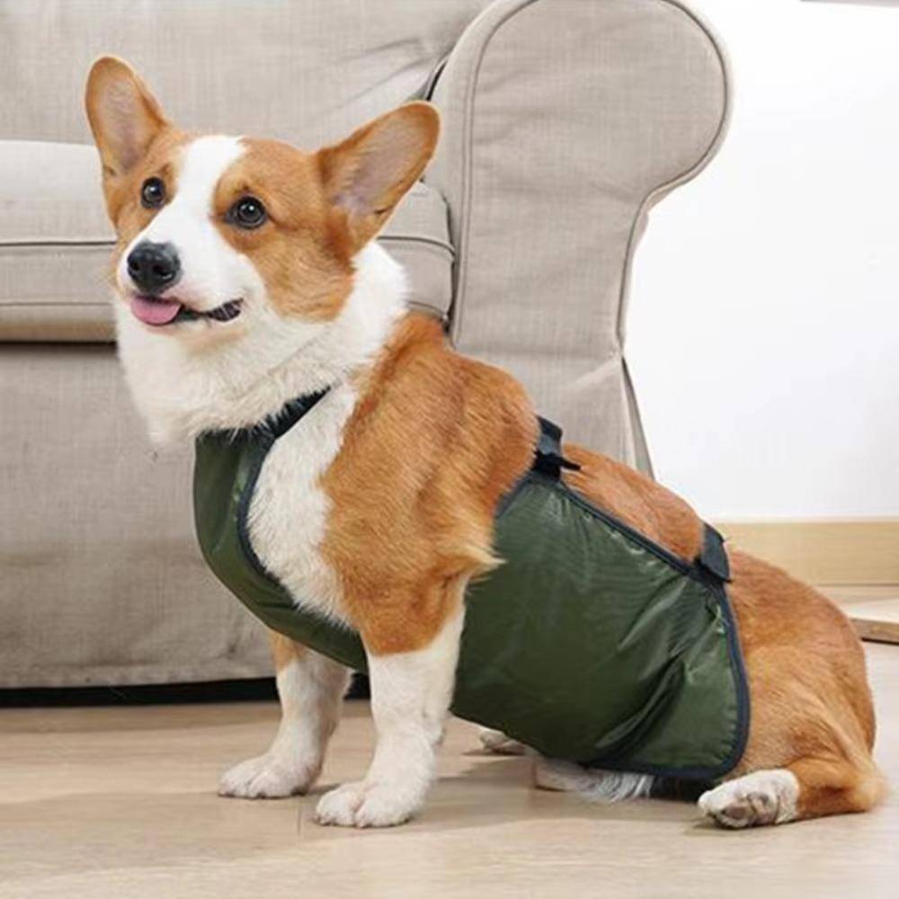 Andningsbar Hundskyddande Bukskydd Vattentät Hunddräkt För Små och Medelstora Hundar grå