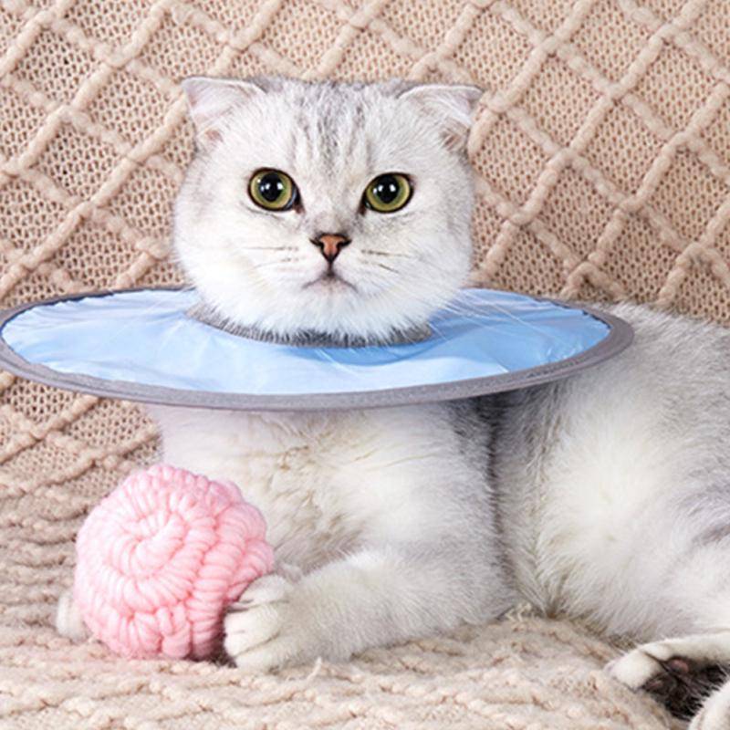 Katt Halskrage Elizabethan Sårläkning Krage Justerbar Anti-bett Anti-slick Skyddande Cirkel grön