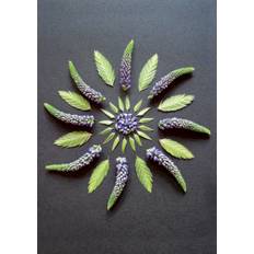 Postkort - Natur Mandala