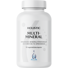 Holistic Multimineral 90 st