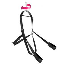 The Trinity 360 Spinning Sex Swing