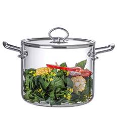 Glaskastrull med lock, värmebeständig kastrull i klart glas för spis med handtag i rostfritt stål, 4,5 L, köksredskap för tillagning av pasta, nudlar, soppa och mjölk, 11,6 x 6,5 cm