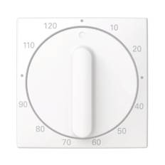 Vred/centrumplatta SAGA för mekanisk timer 1815767