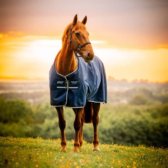 Horseware Amigo Ripstop 900D Pony Turnout 100 gram.