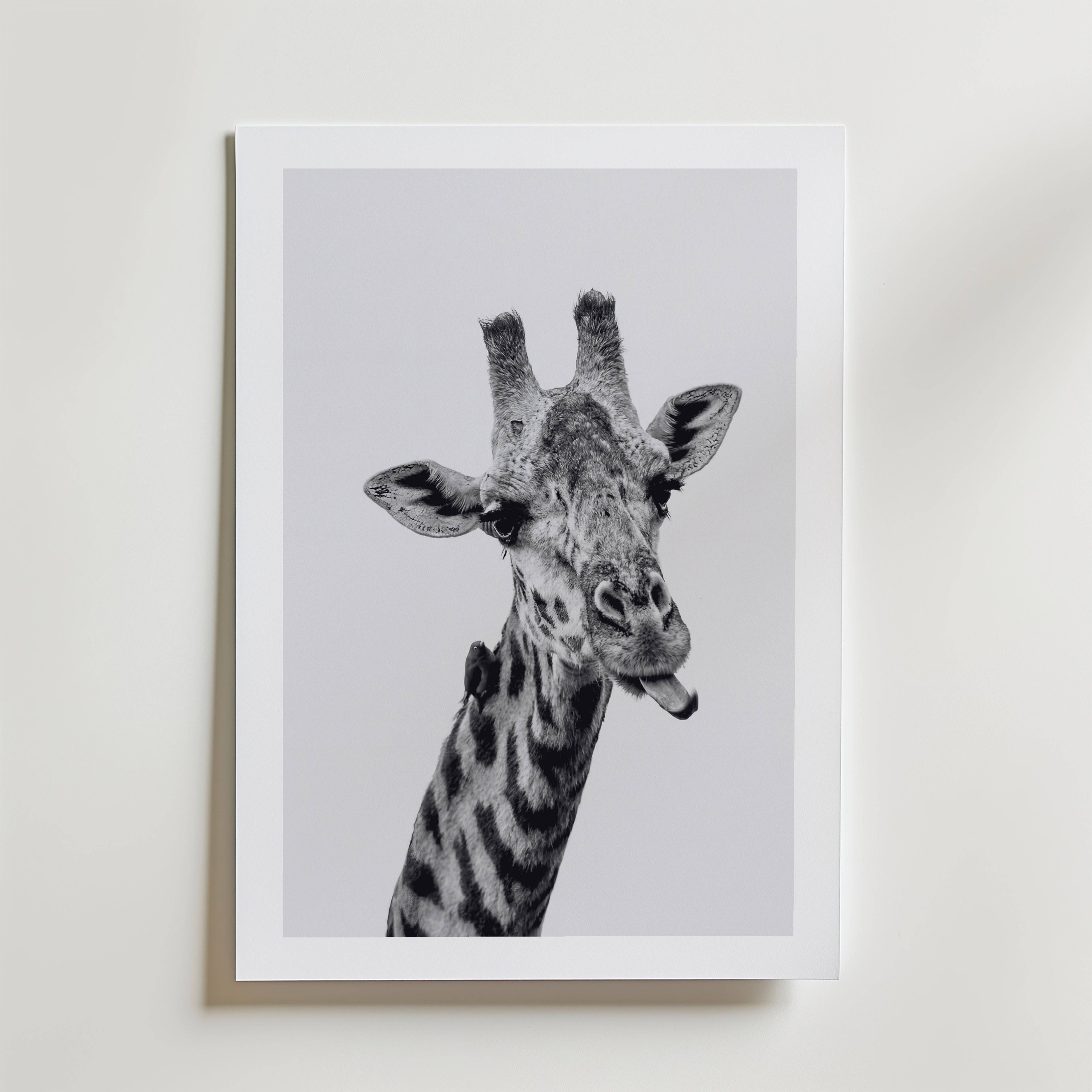 Cheeky Giraffe Poster - Premium Canvas 40x50 cm Med passepartout