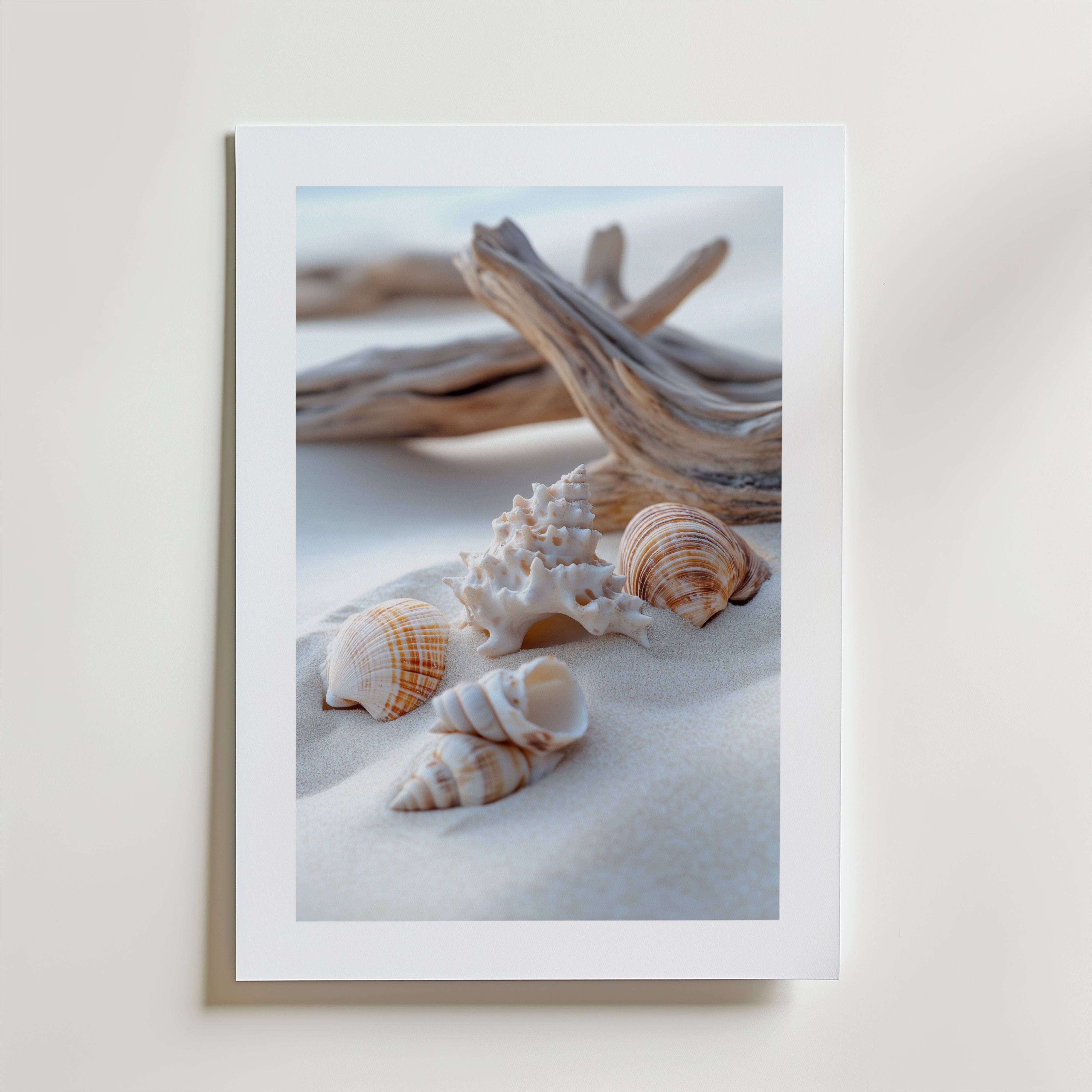 Seashells on the Beach Poster - Fine Art Poster 50x70 cm