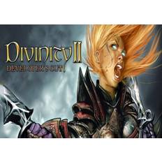 Divinity II: Developer's Cut (PC) GOG.com Key - GLOBAL