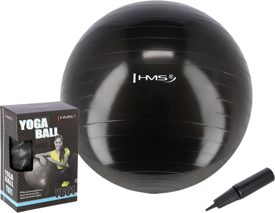 Northix 55cm Black Gym Ball – Anti-burst, Non-slip Träningsutrustning Black - 55 cm