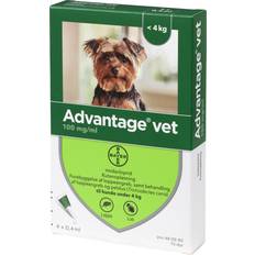 Advantage Vet - Loppemiddel til hunde - 10-25 kg.