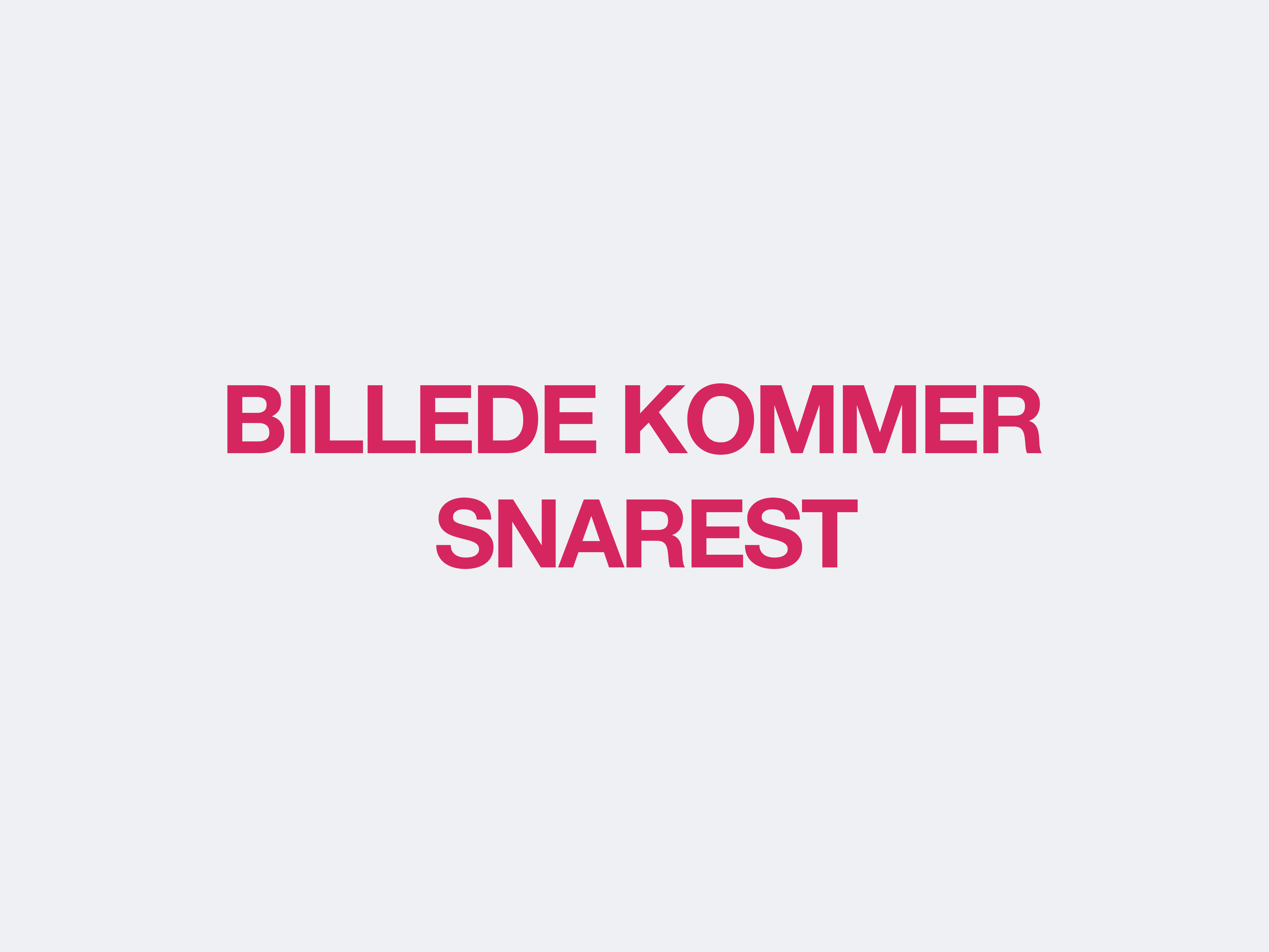 Riese & Müller Charger5 Pinion - Maroon / Small (160-175 cm)
