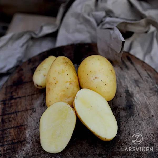 Sättpotatis Sound (Storlek: 1kg)