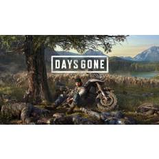 Days Gone (PC) - Standard