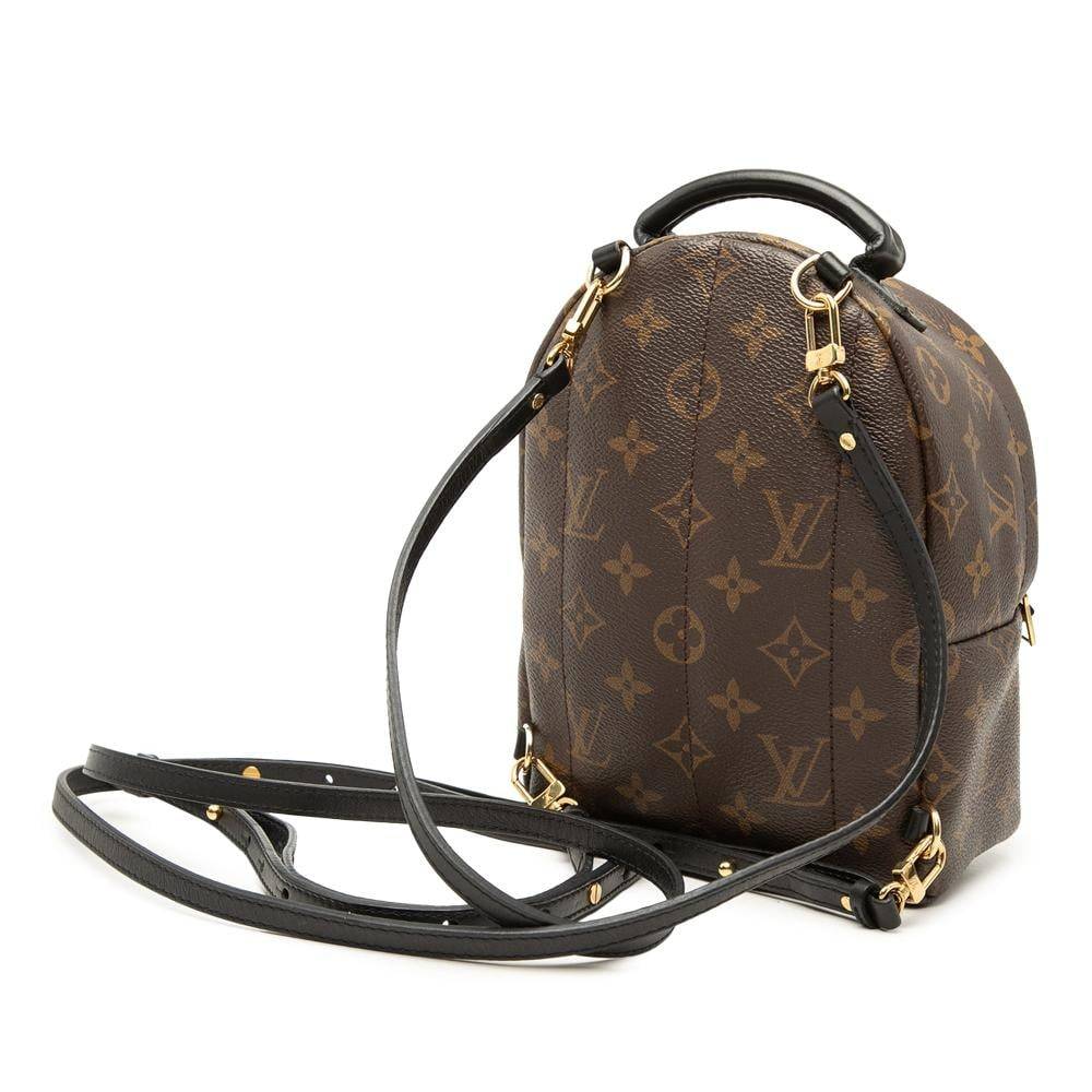 Louis Vuitton Vintage Louis Vuitton Palm Springs L 22cm x W 16cm x D 9cm - Rygsække hos Magasin.