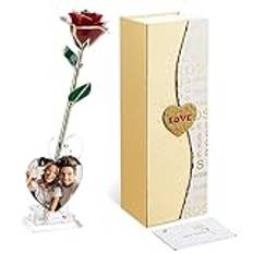 Mikasol Gulddoppad 24K Forever Preserved Rose. 1 Pack Infinity Flower Decor Handdoppad Romantisk GåVa FöR Kvinnor I Hennes Fru FlickväN FöDelsedag Anniversary Alla HjäRtans Mors Dag Jul (RöD)