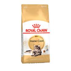 Adult Maine Coon - 10 kg