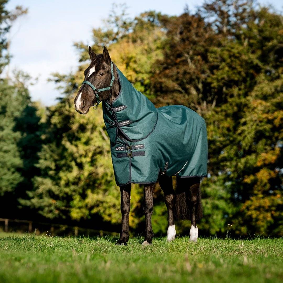 Horseware Amigo - Ripstop Overgangsdækken 900D Plus m. hals - 100 gram - Grøn - Dynasty Grøn/Navy & Sølv / 125