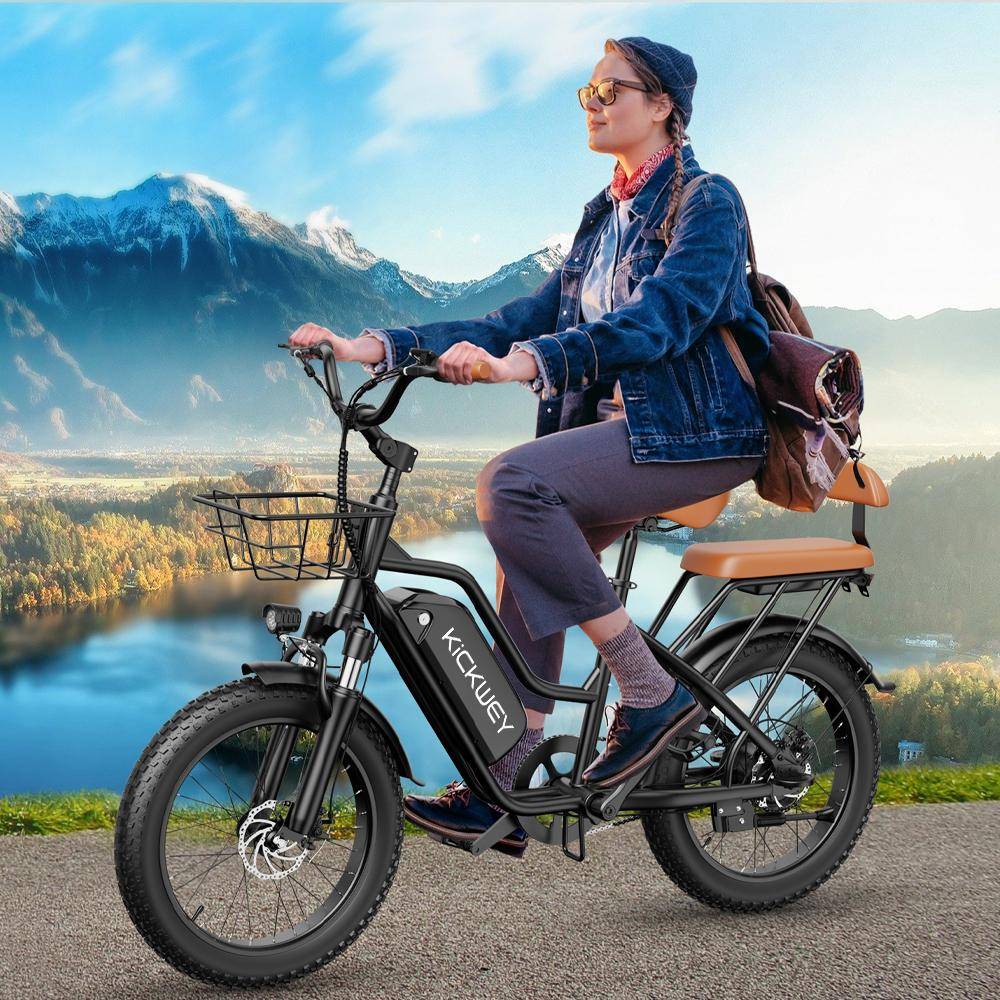 Evike LD20 Bicycle d'électricité pour femmes 750W 48V 20AH Lithium Batterie Powered Men / Women Adult City City Electric Bicycle
