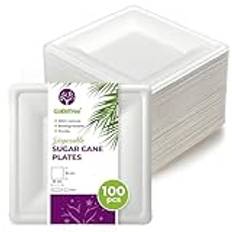 100 sockerrörstallrikar fyrkantiga 16 cm vita. Extra robusta engångstallrikar för camping, picknick, fester, grillfester, födelsedagar