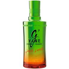 G Vine – Jamie Lorent...