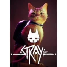 Stray PC (Europe & UK)