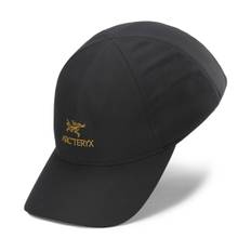Arc'teryx Bird Word Trucker Curved Hat (Black)
