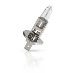 Pære, fjernlys PHILIPS 69561130
