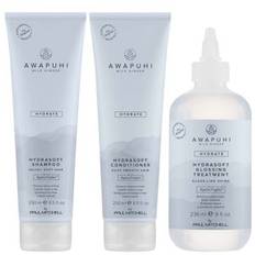 Paul Mitchell Trio: Awapuhi Wild Ginger HydraSoft Shampoo 250ml, Conditioner 250ml & Glossing Treatment 236ml