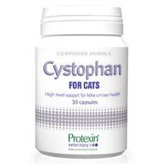 Cystophan til kat