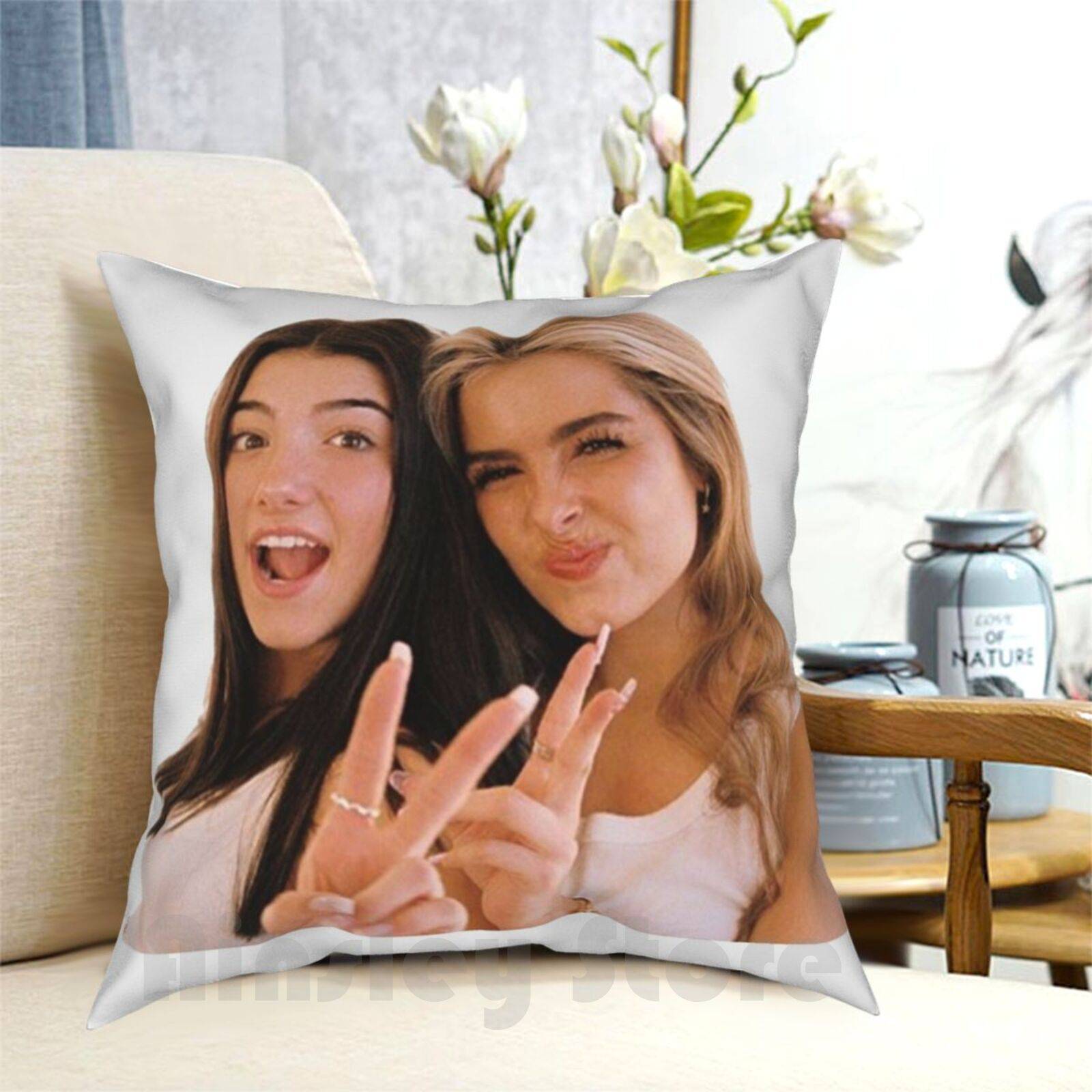 Charlie And Addison Pillow Case Printed Home Soft Throw Pillow Renagade Dmelio Rae Netflix Vintage Y2k Aesthetic Vsco