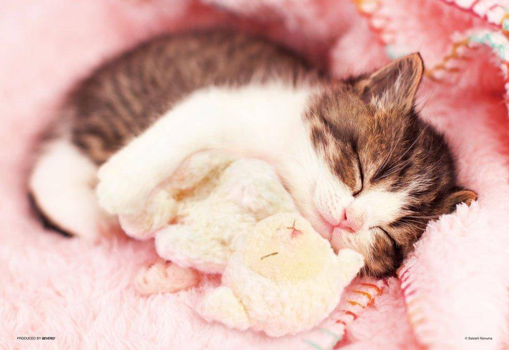 jigsaw puzzle large pieces 150-piece Yume-nyan (26x38cm)