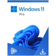 Windows 11 Professional Retail