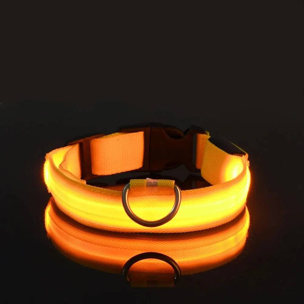Nylon LED Night Safety Flashing Glow in the Dark Dog Leash - Luminous Fluorescent Pet Dog Collar - Yellow / S (S)