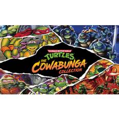 Teenage Mutant Ninja Turtles: The Cowabunga Collection (Steam Account) - Standard