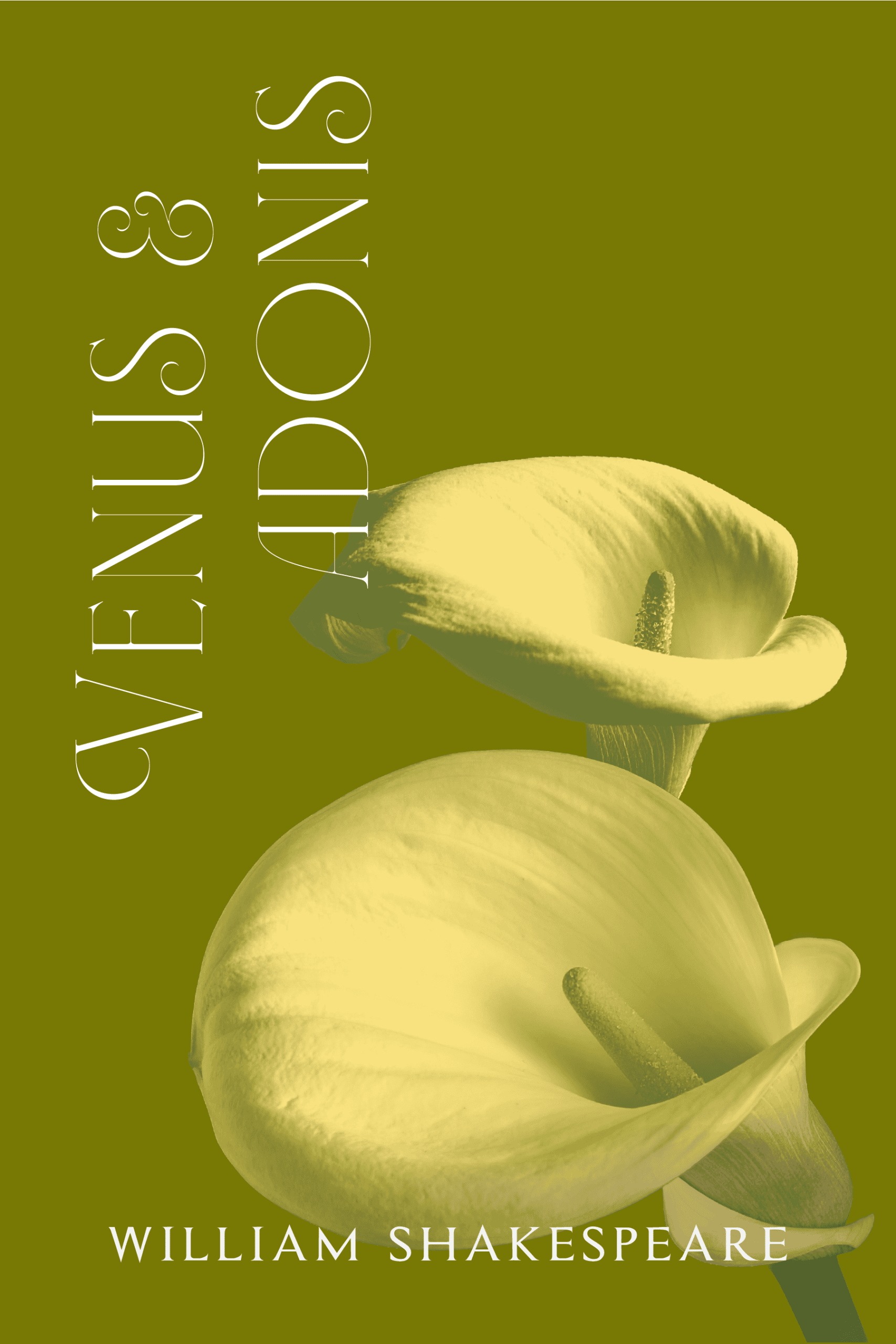 Venus and Adonis - Ebook