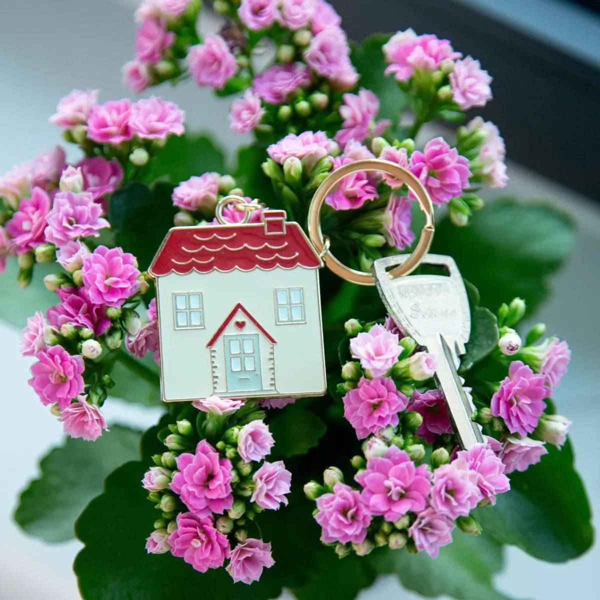 House keychain