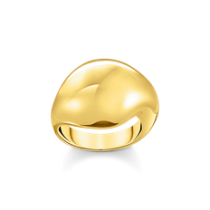 Thomas Sabo Ring Guld TR2470-413-39 - 56