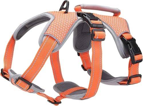 BELPRO mångsidig stödsele för hundar, rymningssäker, antidragsele, reflekterande, justerbar sele med hållbart handtag, promenadsele för stora/aktiva hundar (orange, L)