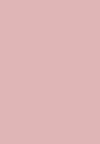 LIFTER GLOSS - Läppglans - 5 petal